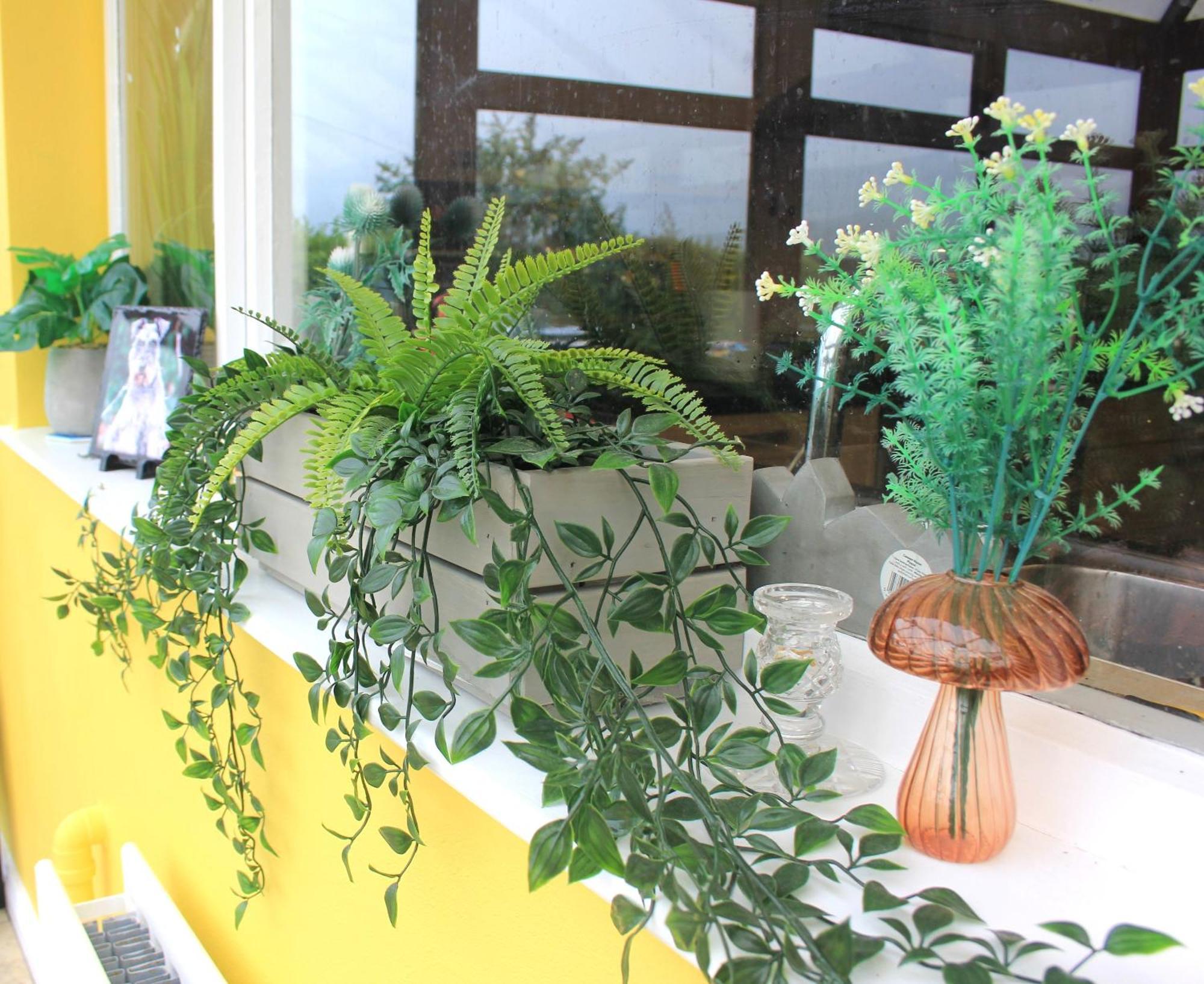 לארן Cairnview Bed And Breakfast מראה חיצוני תמונה